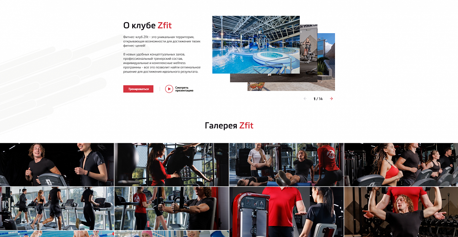 ZFIT SOCHI